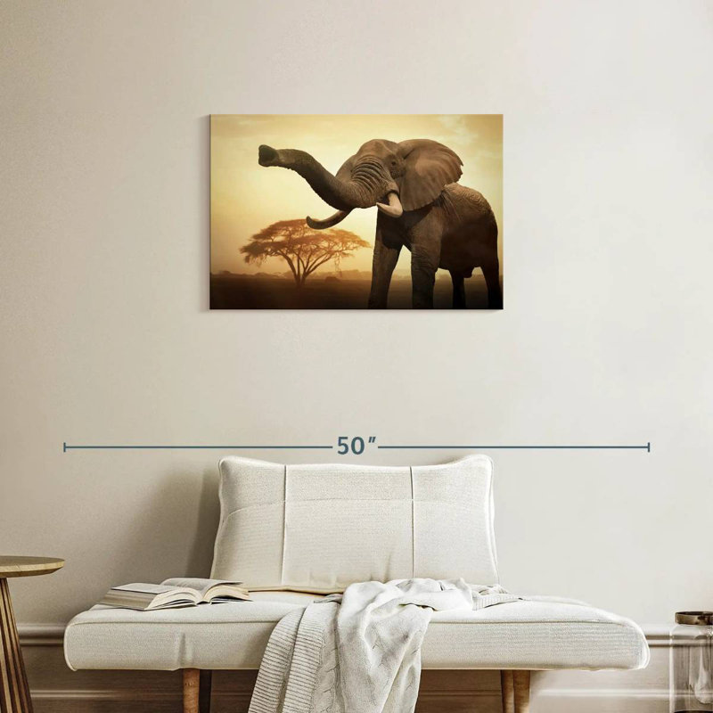 Éléphant d'Afrique Brampt, H 20 po x l 30 po