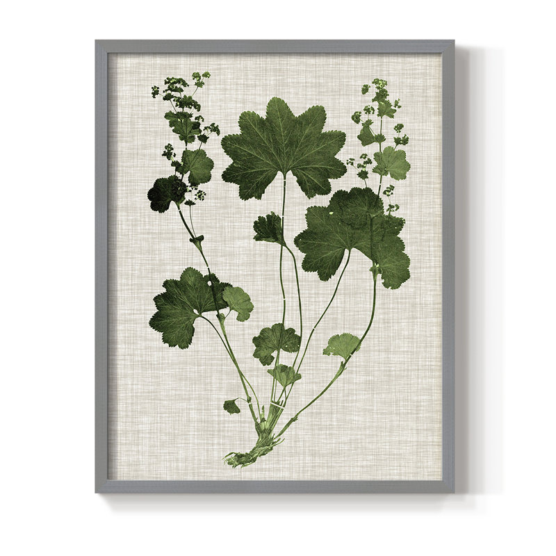 «Forest Foliage on Linen», reproduction encadrée en bois massif, H 10 po x l 8 po, Gris