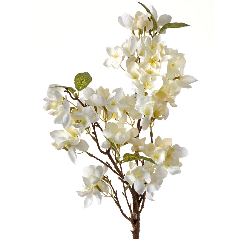 Fleurs de cerisier, Blanc