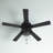 52"W Emmie 5 - Blade Ceiling Fan with Black Metal Caged Shade