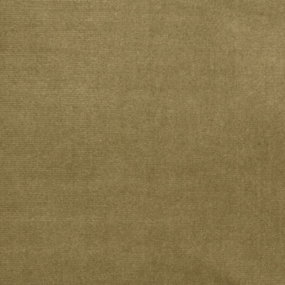 Versailles Upholstery Design Fabric