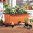 Planter Box-1086357619
