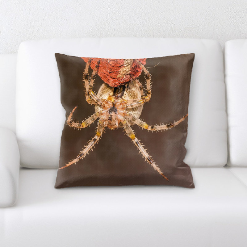 Coussin de spider