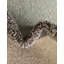 Tapis bleu Dews-2108891422