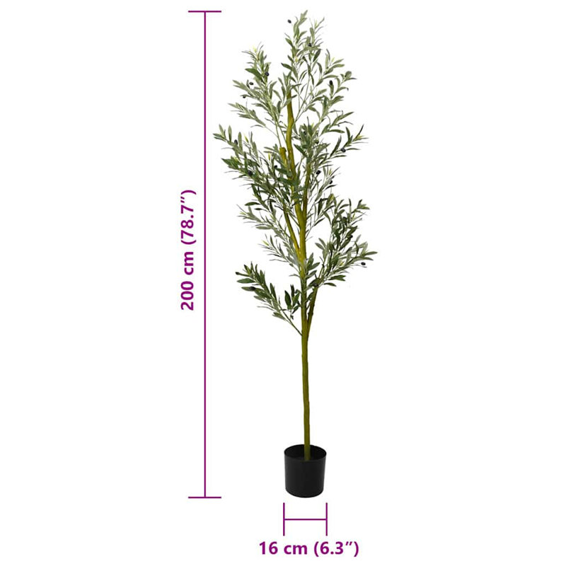 200cm Plant