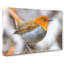 Charming Robin Bird Painting - Wrapped Canvas-56657965