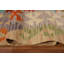 Tapis oriental géométrique Kilim 5 x 6