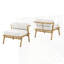 Ensemble de 2 fauteuils club d'extérieur en fer