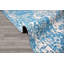 Oriental Indoor Rug-1092899046