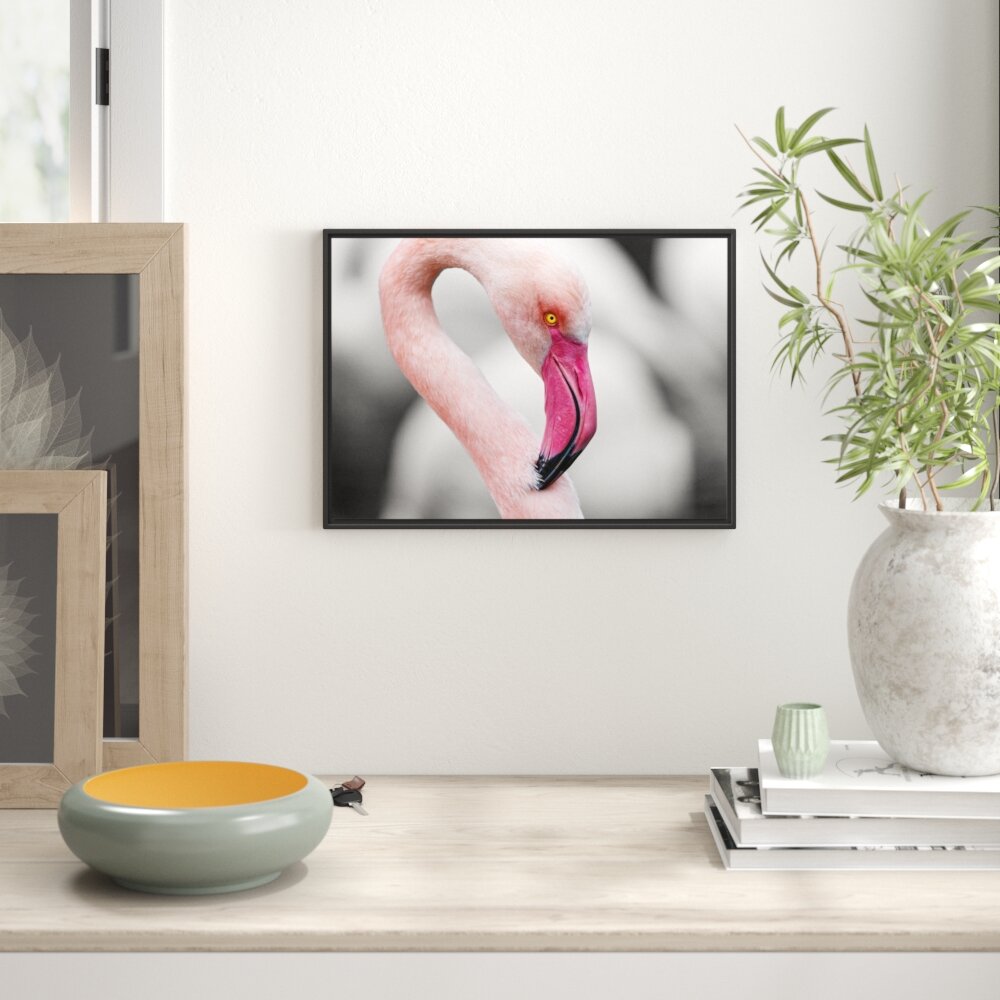 Prächtiger Flamingo Gerahmter Kunstdruck