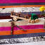 Nueva Raya Cowhide Striped Area Rug-69025896