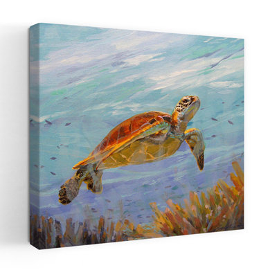 Seeking The Sun Abstract Turtle Nature Ocean Art