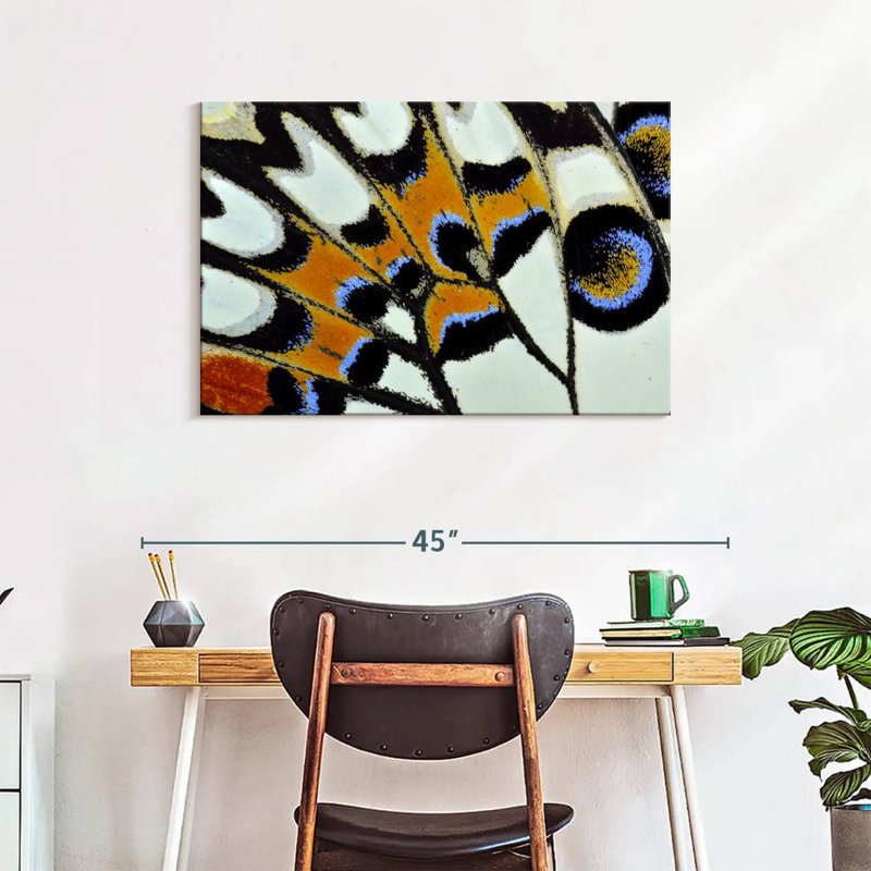 Brampt Butterfly Wing Close Up, 24" H x 36" W
