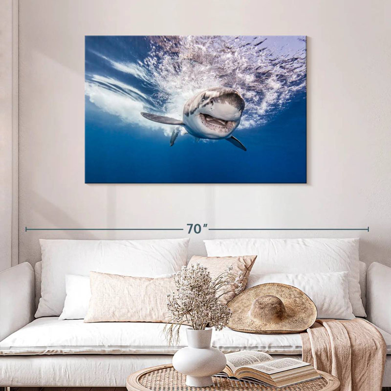 Brampt Happy Shark, 30'' H x 45'' W