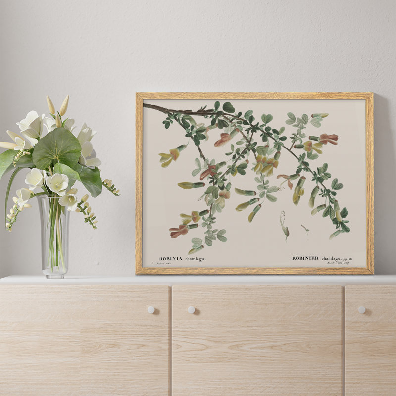 «Robinia Flowers Chamlagu Rustic Artwork, impressions encadrées, affiches, petit art mural de salle de bain», Naturel