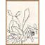 Sedum Giclee Print by Susan Hable