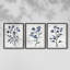 Étude florale CLxxvi -Set de 3 estampes numériques giclées -Prêt à accrocher-1869854582-1869854571