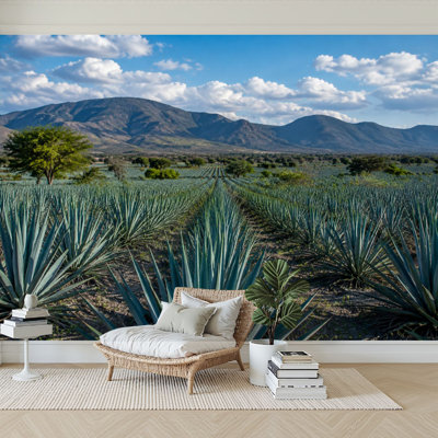 Papier peint adhésif peler et coller paysage planter des plantes d'agave pour produire de la tequila Papier autocollant amovible pour décoration de salon Chambre à coucher H 100 po x l 144 po