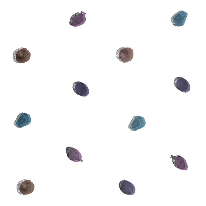 Stowmarket Wallpaper, 208 cm L x 146 cm W