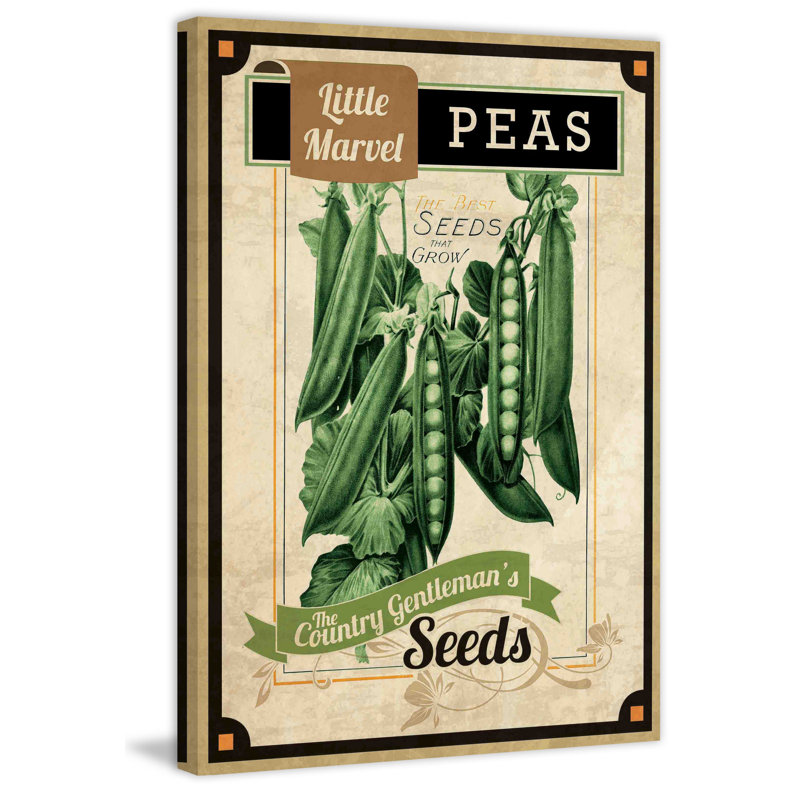 Seed Packet Peas - Wrapped Canvas Print, 46 cm H x 30 cm W
