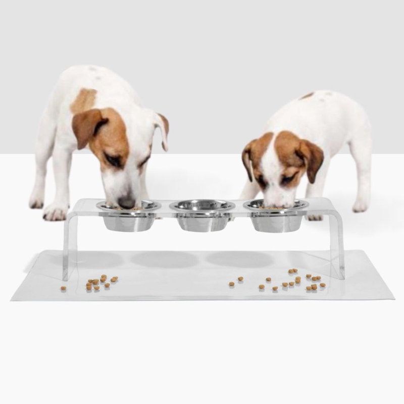 Bol à manger moyen pour chien avec bols argentés, 3,5 tasses