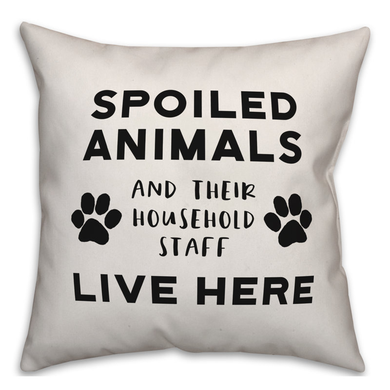  Coussin Spoilé