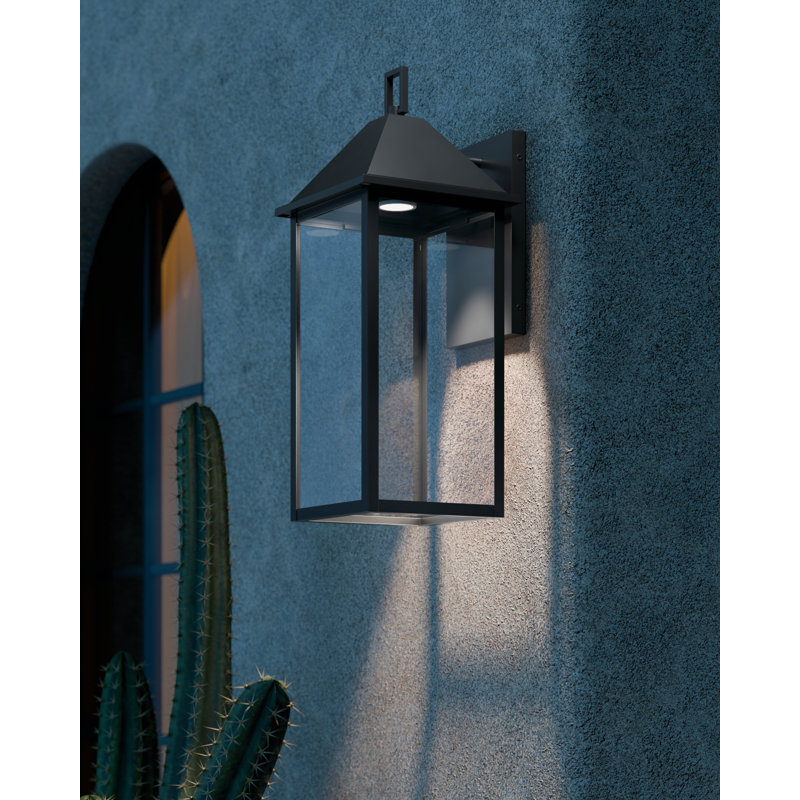 22" 1-Light Outdoor DarkSky Wall Light with Clear Glass, Satin Black