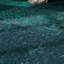 Stjohn Paisley Area Rug-1319276430