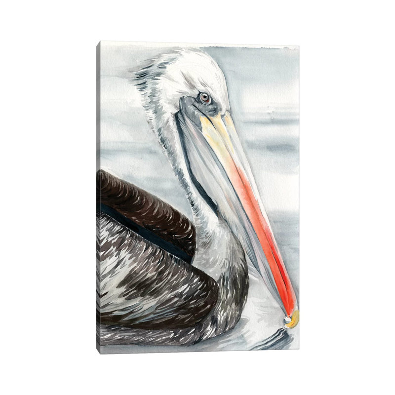 Grey Pelican I by Jennifer Paxton Parker - Wrapped Canvas Print, 30.48cm H x 20.32cm W
