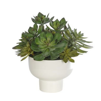 Succulent, Gray Green, Footed Ceramic Bowl