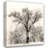 Oak Tree-1033386427