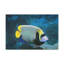No Frame Print on Canvas-1294148319