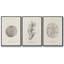 Shore Treasure Study I 3 pièces-97711596-97711599