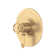 Armstrong™ 1/2" Therm & Pressure Balance Trim with 2 Functions