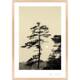 Serenity By Peter Dušek - Framed Wall Art