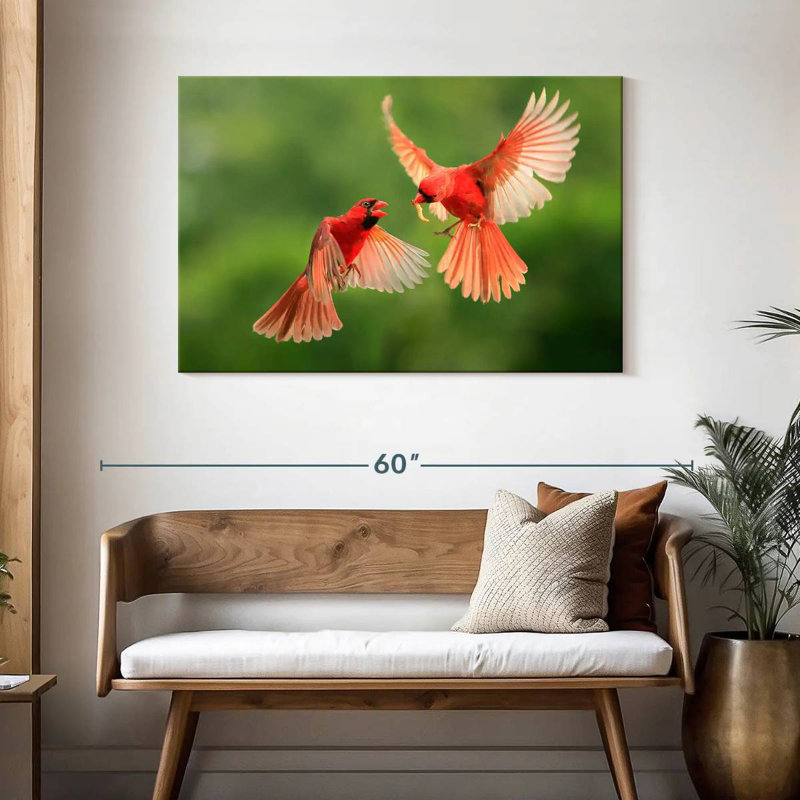 Brampt Northern Cardinal