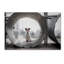 « my name is bond », reproduction de photo sur toile tendue-22371794