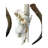 Tieanna Waterbuck Antelope Skull