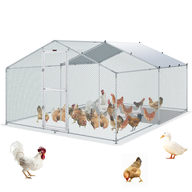 Poulailler avec couloir Davisha Walk In, H 78,7 po x l 118,1 po x P 157,5 po