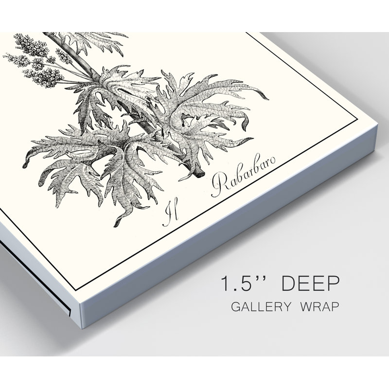 «Antique Black and White Botanical», reproduction d'art sur toile tendue, H 20 po x l 16 po x P 1 po