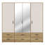 Rajish Manufactured Wood Wardrobe