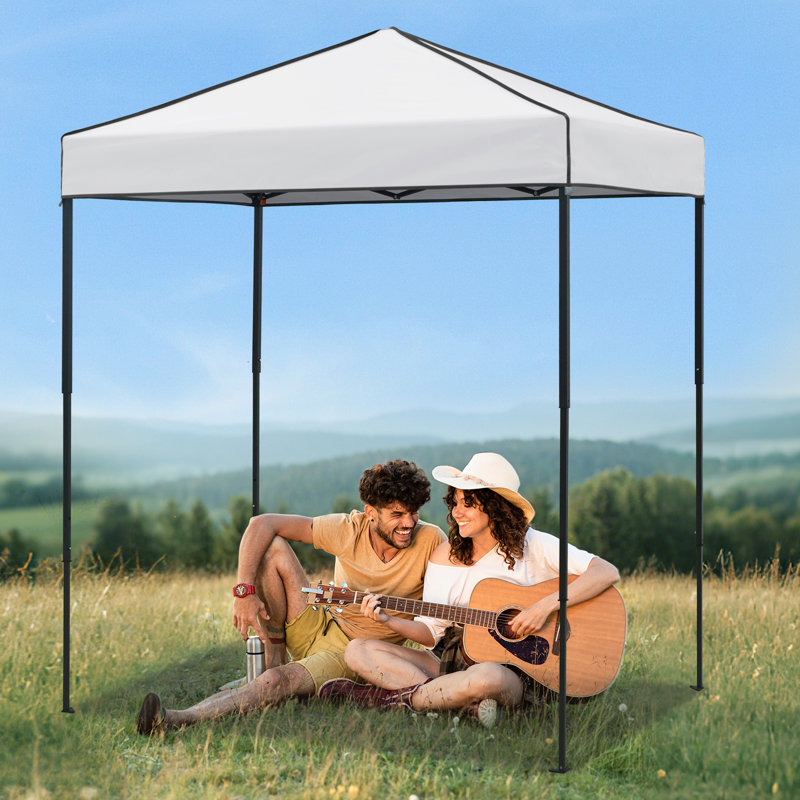 6x4 Canopy Tent, Heavy Duty Pop up Canopy with Carry Bag, White