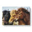 A Trio Of Horses - Wrapped Canvas Painting-55367971