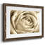 Fleur murale neutre IV-109224460-109224461