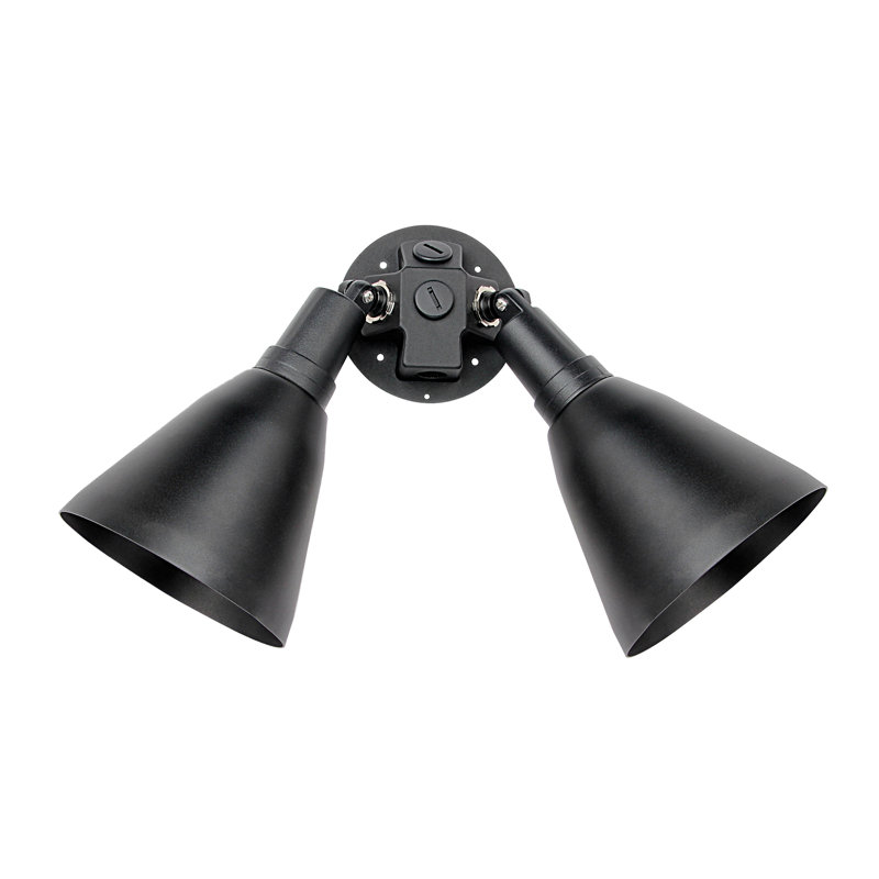 Abiola Wall Light, Black