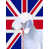 Bedlington