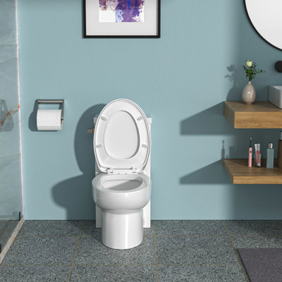 Toilette de salle de bain en céramique - chasse d'eau puissante, surface hygiénique blanche d'une hauteur confortable, chasse d'eau supérieure