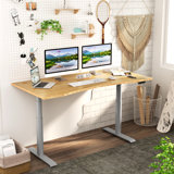 Darena Dual Motors 3-Stage Oval Legs Height Adjustable Standing Desk with USB Ports, 100% Bamboo Curved Desktop