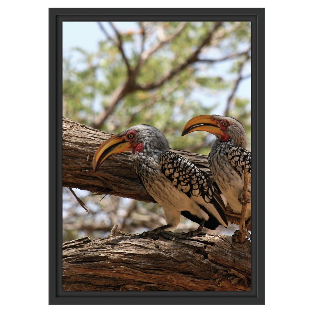 Gerahmtes Wandbild zwei exotische Vögel auf Baum