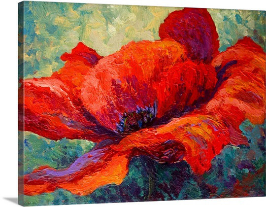 "Ankita Red Poppy III" par Marion Rose, reproduction d'art sur toile tendue, H 25 po x l 31 po x P 1 po, Imprimé à cadre noir